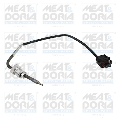 Sensor, exhaust gas temperature
